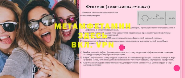 apvp Ельня