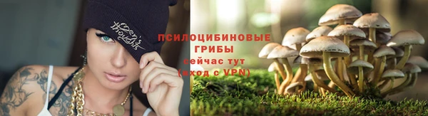 гидропоника Дмитриев