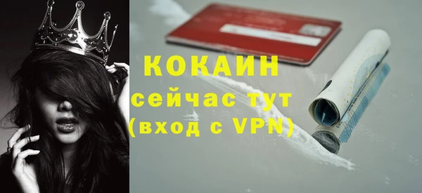 шишки Елабуга