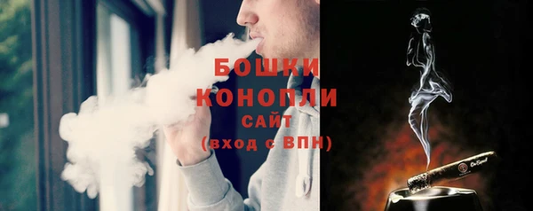 apvp Ельня