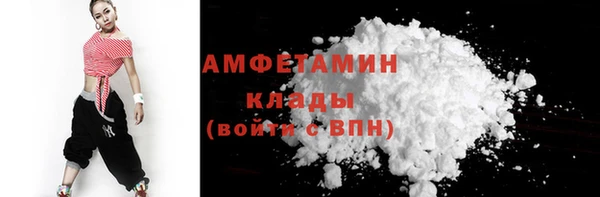 apvp Ельня