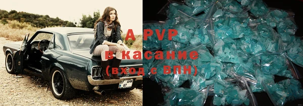 apvp Ельня