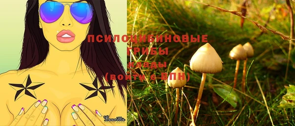 шишки Елабуга
