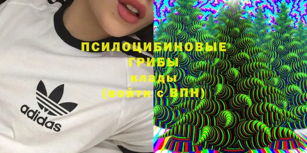 гидропоника Дмитриев