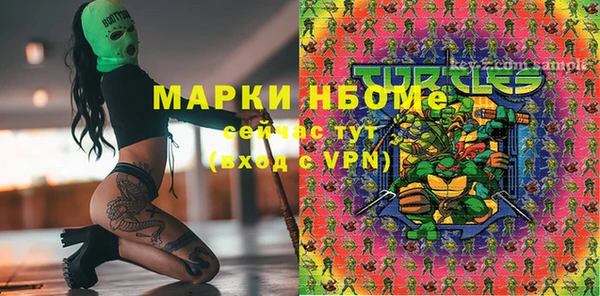 мдпв Елизово