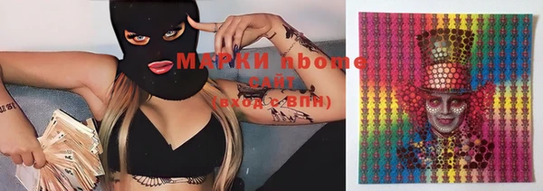мдпв Елизово