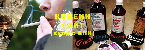 шишки Елабуга