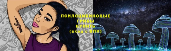 гидропоника Дмитриев