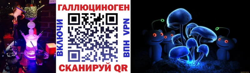 Галлюциногенные грибы Cubensis  blacksprut ссылка  Зеленоградск 